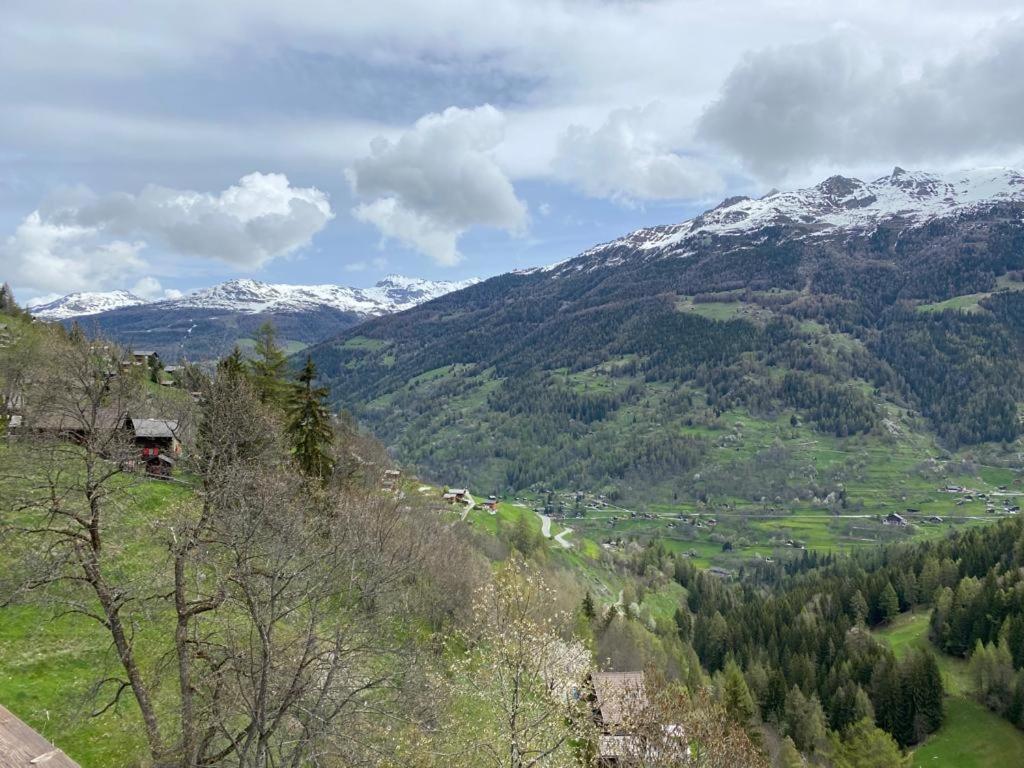 Residence Platane B Grimentz Εξωτερικό φωτογραφία
